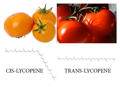 lycopene tomatoes