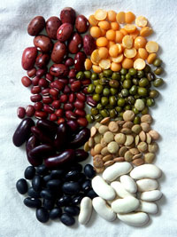  varities of beans
