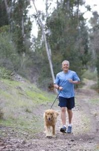 Active senior man, in blue t-shirt and shorts, walking golden retriever along woodland path, smiling, front view, portrait