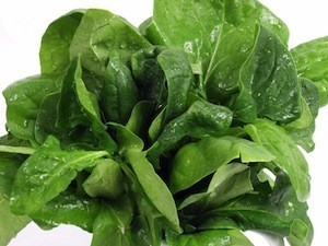 Spinach_canstockphoto0556156