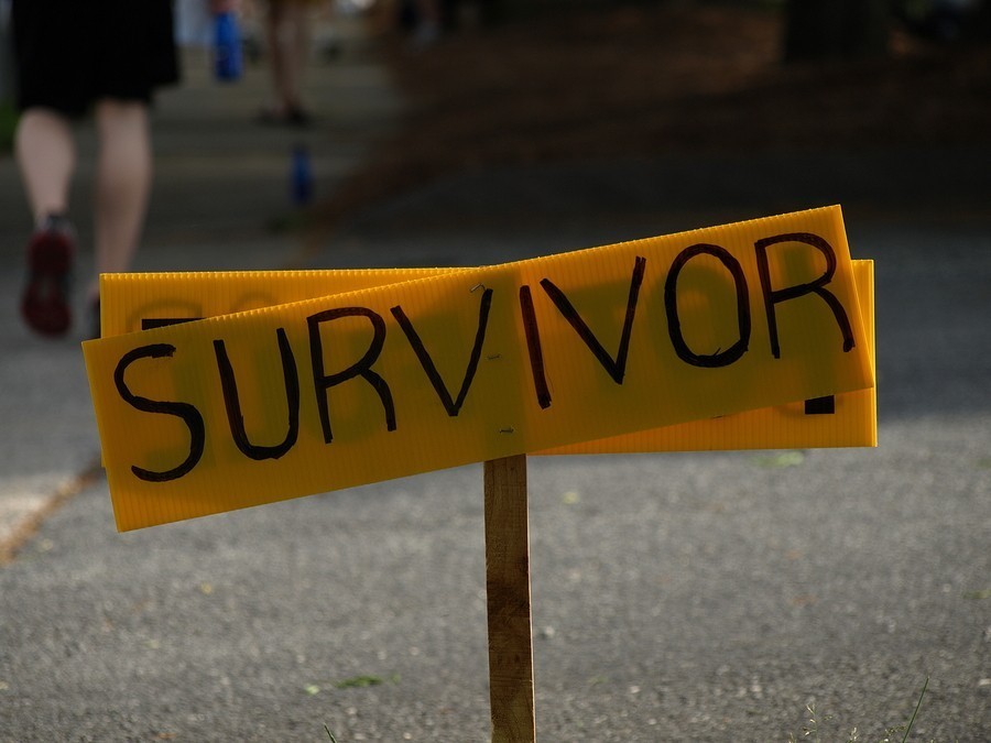 yellow sign in the middle of a road that says "survivors"