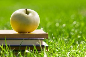 Apple on pile of books on grass. Education concept, back to scho