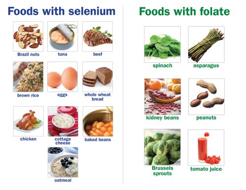 Folate_Selenium foods combo_small