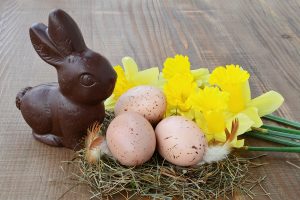 Easter Background, Chocolate Bunny, Spotted Eggs, Daffodils