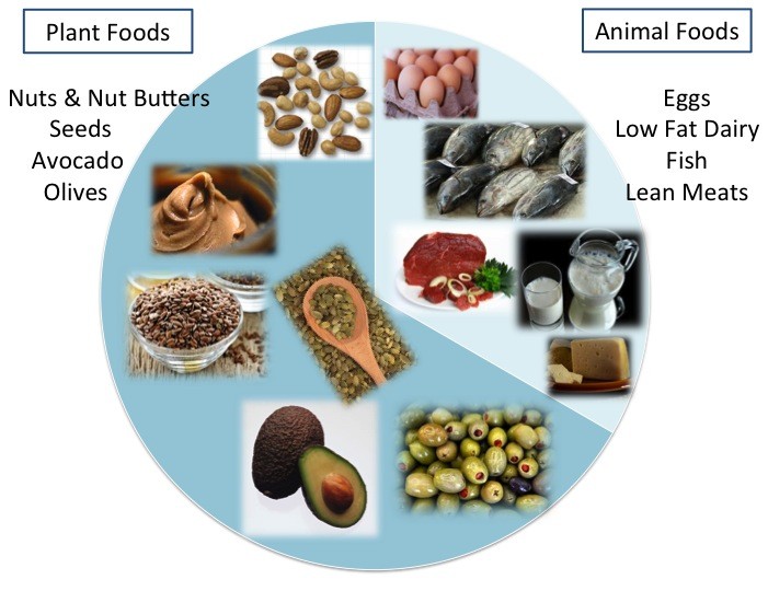 Plant and Animal Fats