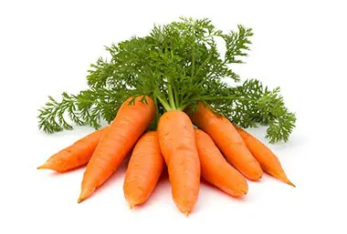 Carrots and Cancer, Juice Benefits & More - AICR