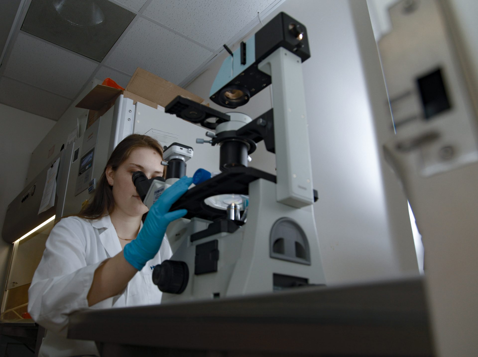 AICR Grants: Too Important to Press Pause - American Institute for ...