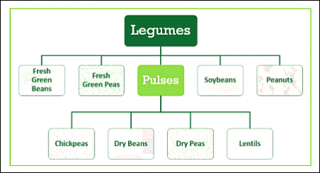 Legume chart open access USDA fns usda gov usda foods bean basics toolkit