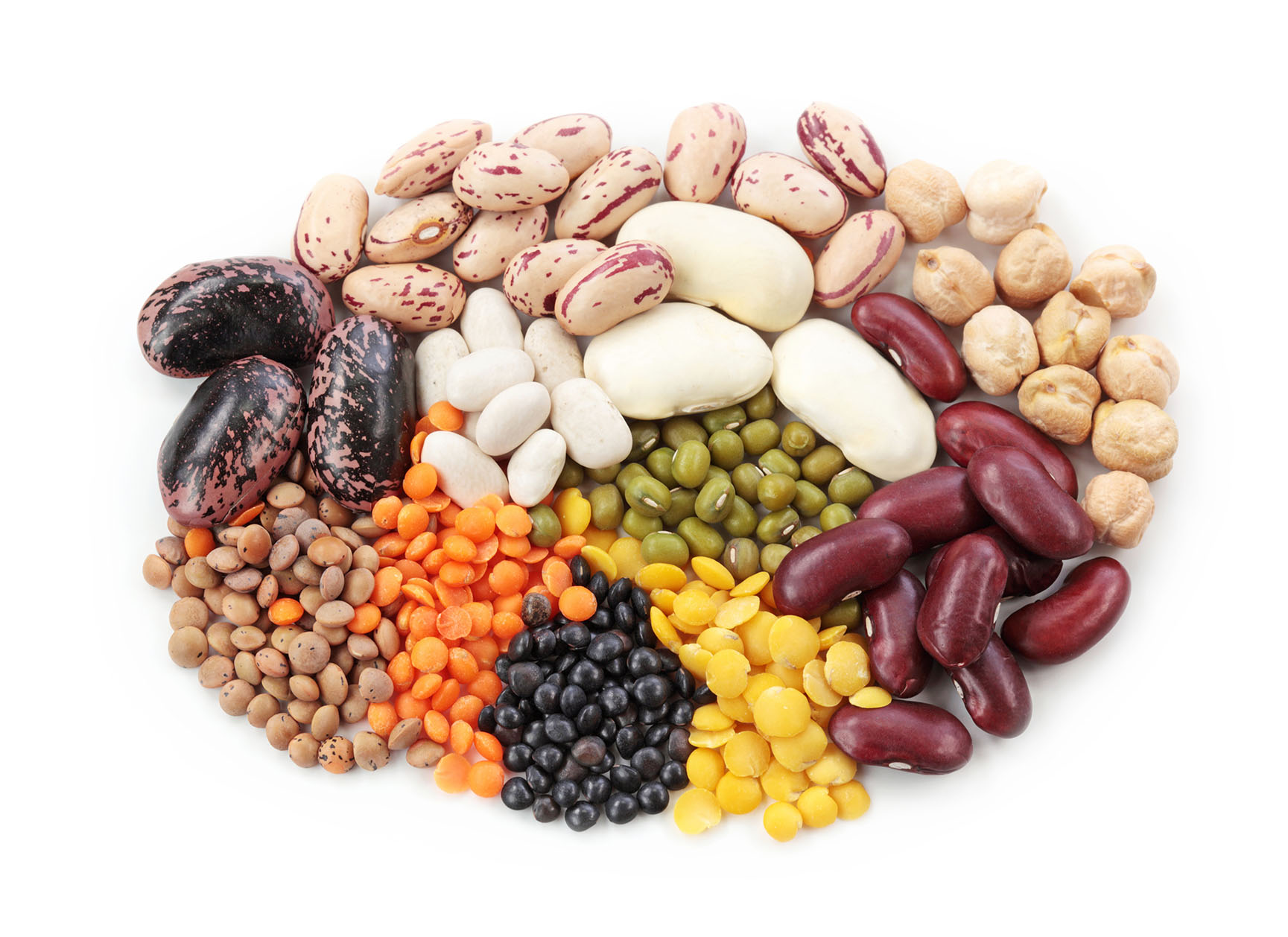 Pulses An Overlooked Food in a PlantBased Diet for Cancer Prevention